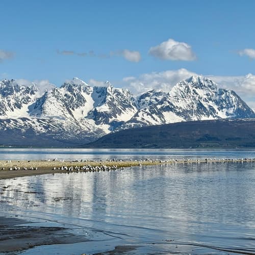 Oldervik