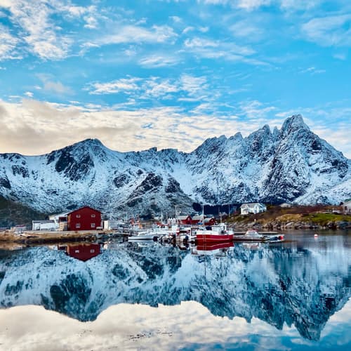 Perfect reflection point