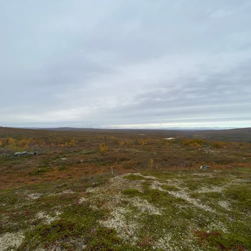 The most silent place we’ve been too